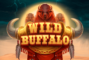 Wild buffalo